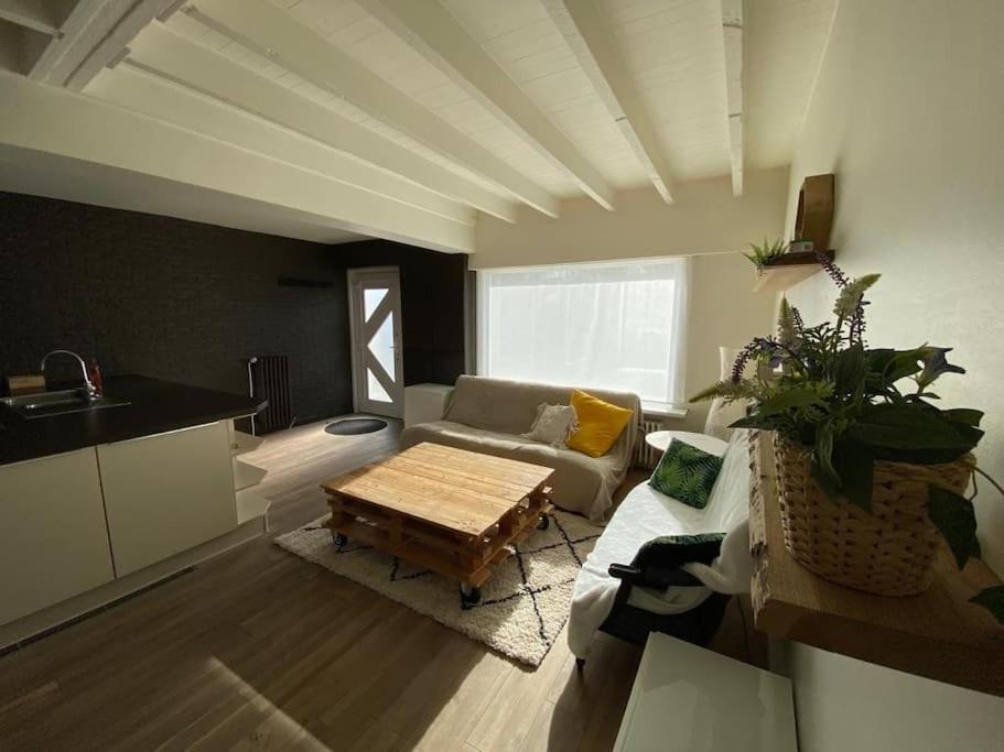 فيلا Cosy Beachhouse Within Walking Distance Of The Sea دي هان المظهر الخارجي الصورة